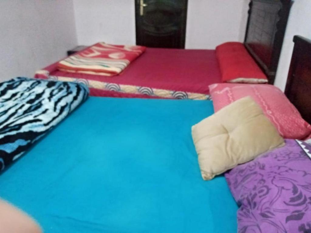 Apartment One Pyramids